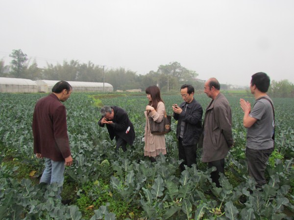 武大綠洲公司考察組在宏華綠色食品養(yǎng)殖基研究病蟲害