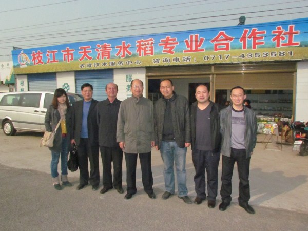 武大綠洲考察組與枝江天清水稻合作社負(fù)責(zé)人合影留念