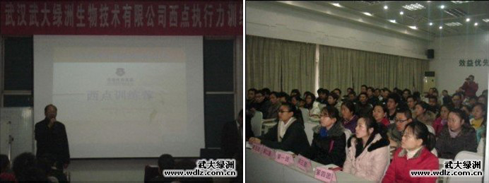 武大綠洲朱董發(fā)表講話