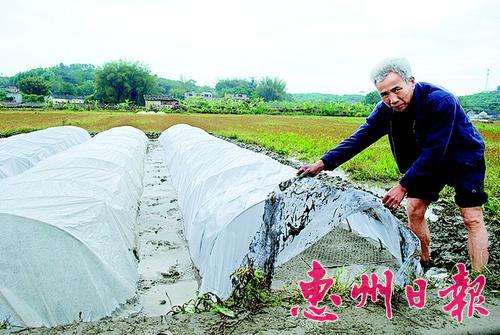  (li)ˮƫr(nng)ķNSͺr(nng)