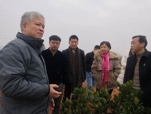 中山大學(xué)農(nóng)學(xué)院攜手武大綠洲及合作單位赴湖南省宜章縣調(diào)研交流