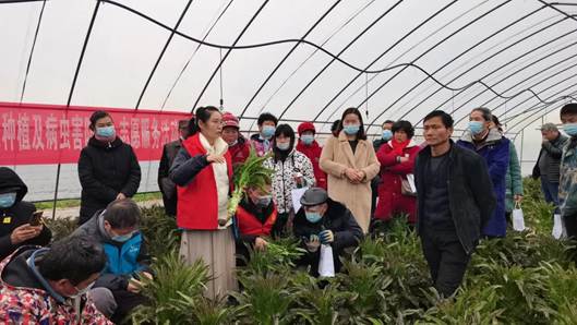 武大綠洲在鄂州舉辦綠色防控技術培訓會