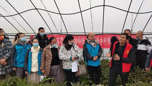 武大綠洲在鄂州舉辦綠色防控技術培訓會